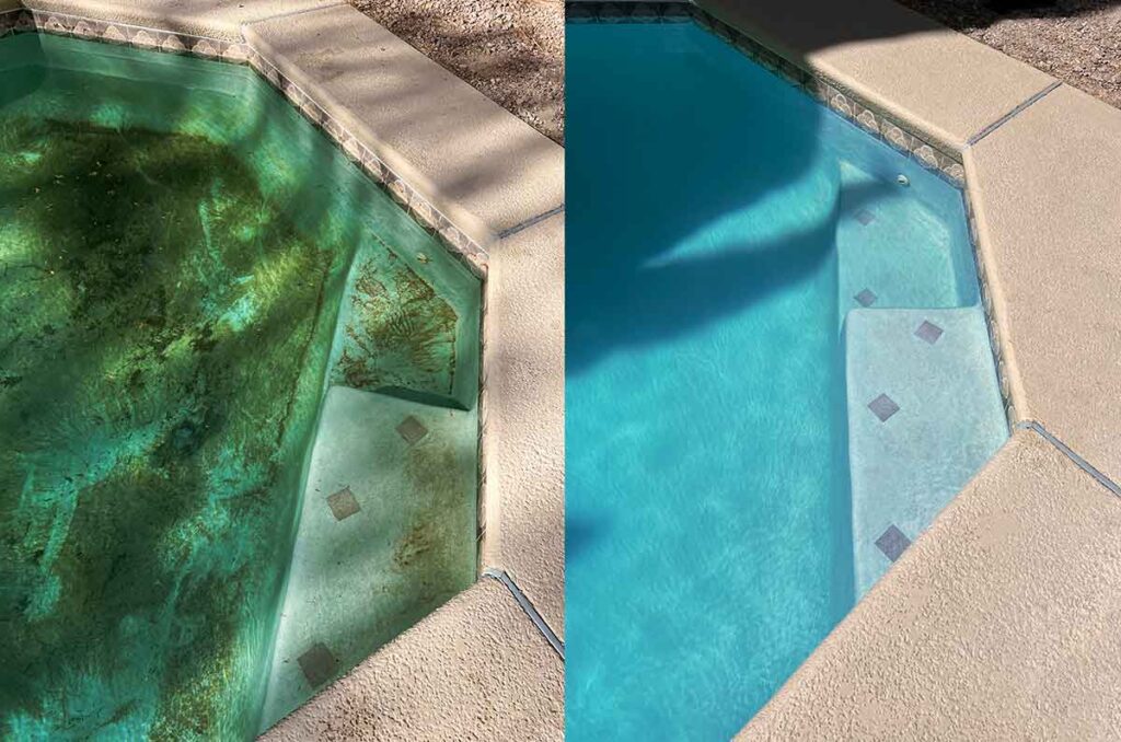 green to clean pool services before and after of green pool now clean Serene Pool Services Lake Mary Florida swimming pool service near me